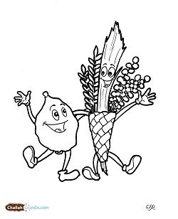 Lulav Etrog, coloring pages