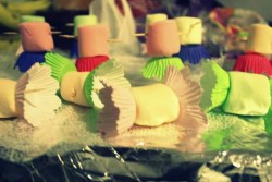 Marshmallow  “candies”