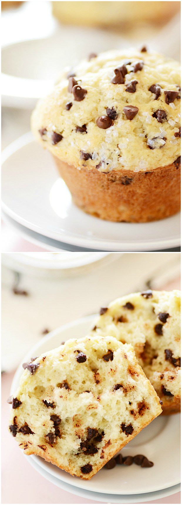 Bakery style choco chip muffins

1 cup milk

1/4 cup vinegar

2 1/2 cups all-purpose flour

1 tb ...