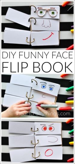 Fun flip face book